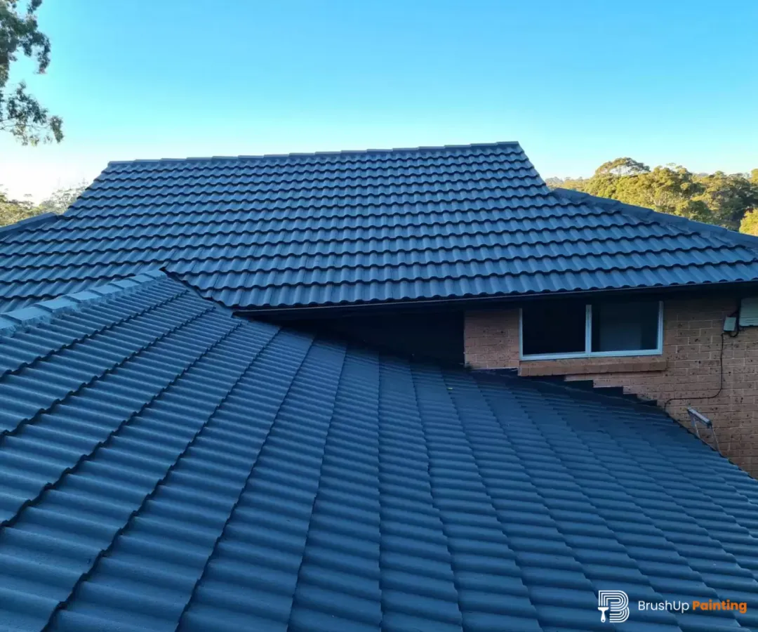 Best Roof Paint for Australian Homes