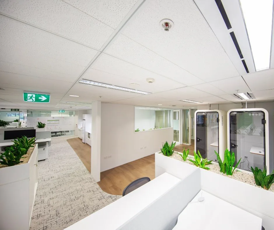 Commercial repaint, open plan office with meeting pods, Sydney