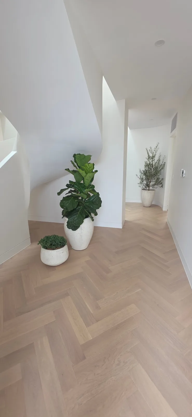 Interior repaint, herringbone hallway beside a curved stair wall, Sydney